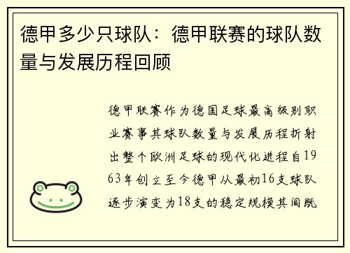 德甲多少只球队：德甲联赛的球队数量与发展历程回顾